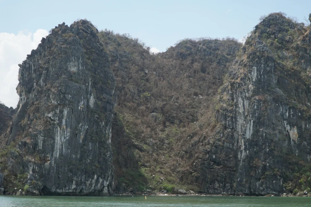 Thảm thực vật trên vịnh Hạ Long trơ trụi sau bão Yagi