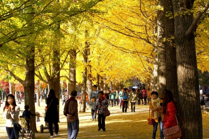 Cách Hàn Quốc thu hút du khách Việt